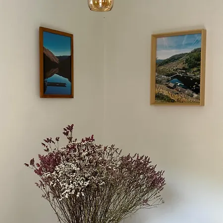 Apartment Amodino Do Camino