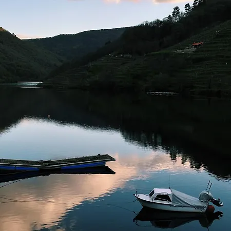Amodino Do Camino *
