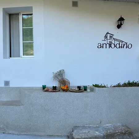 Amodino Do Camino *