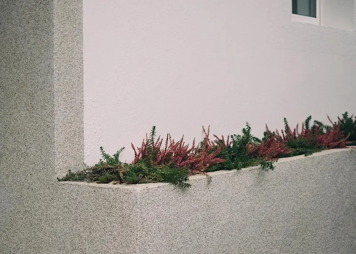 Apartamento Amodino Do Camino