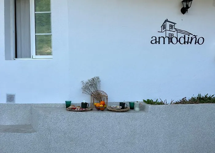 Amodino Do Camino *